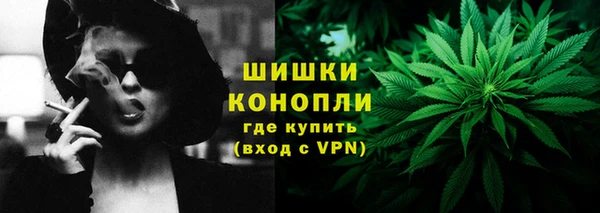 ПСИЛОЦИБИНОВЫЕ ГРИБЫ Гусев