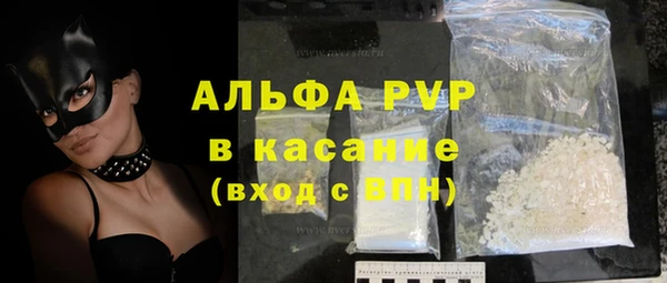 ПСИЛОЦИБИНОВЫЕ ГРИБЫ Гусев