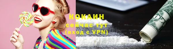 ПСИЛОЦИБИНОВЫЕ ГРИБЫ Гусев