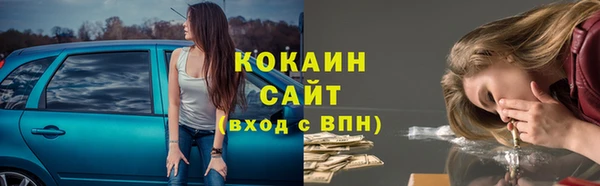 ПСИЛОЦИБИНОВЫЕ ГРИБЫ Гусев