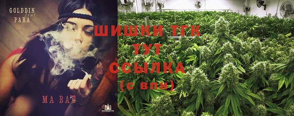 ПСИЛОЦИБИНОВЫЕ ГРИБЫ Гусев