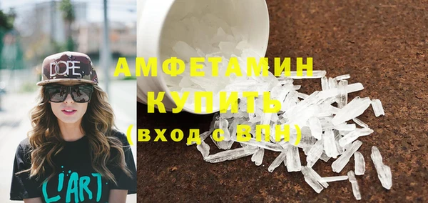ПСИЛОЦИБИНОВЫЕ ГРИБЫ Гусев