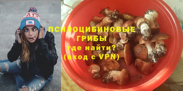 кристаллы Гусиноозёрск