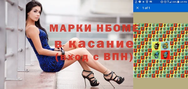 ПСИЛОЦИБИНОВЫЕ ГРИБЫ Гусев