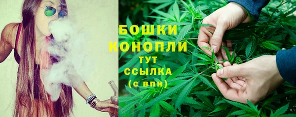 меф Гусь-Хрустальный