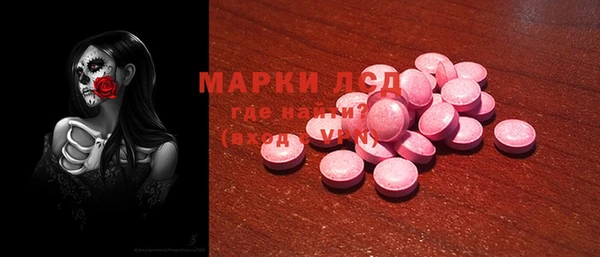 ПСИЛОЦИБИНОВЫЕ ГРИБЫ Гусев