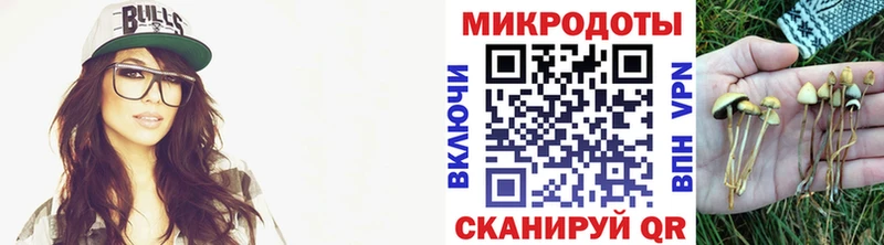Галлюциногенные грибы MAGIC MUSHROOMS где продают Берёзовка