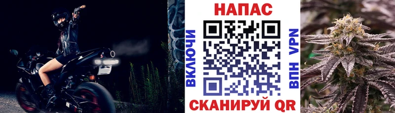 Бошки Шишки план Берёзовка